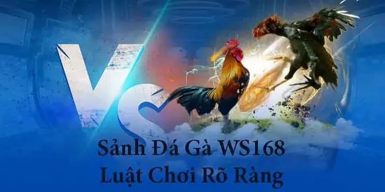 Hướng Dẫn Cách Chơi Đá Gà WS168 Tại Luck8 Hiệu Quả Nhất