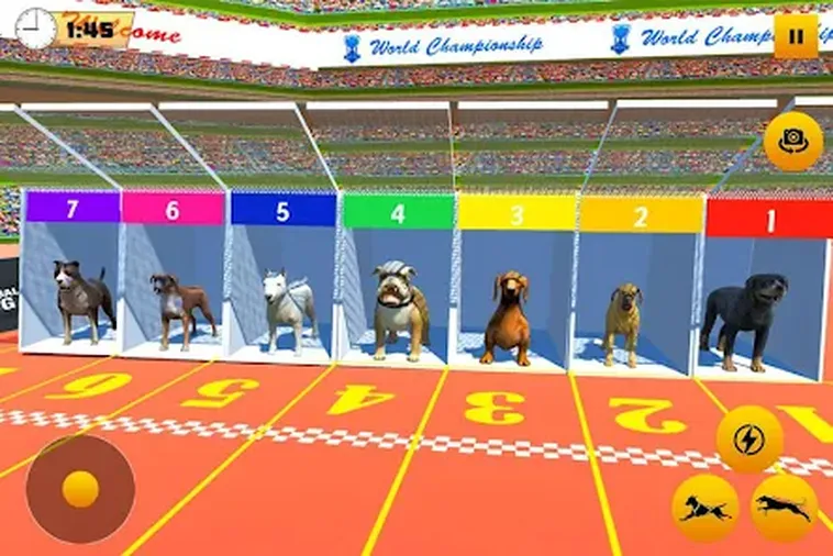 Cách Chơi Game Nhanh Đua Chó Tại Luck8 Để Thắng Lớn 2 Cách Chơi Game Nhanh Đua Chó Tại Luck8 Để Thắng Lớn
