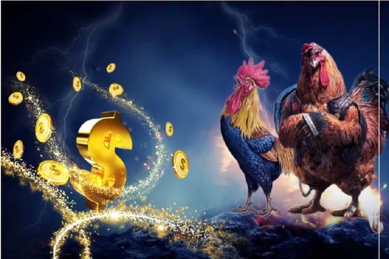 Hướng Dẫn Cách Chơi Đá Gà WS168 Tại Luck8 Hiệu Quả Nhất 2 Hướng Dẫn Cách Chơi Đá Gà WS168 Tại Luck8 Hiệu Quả Nhất